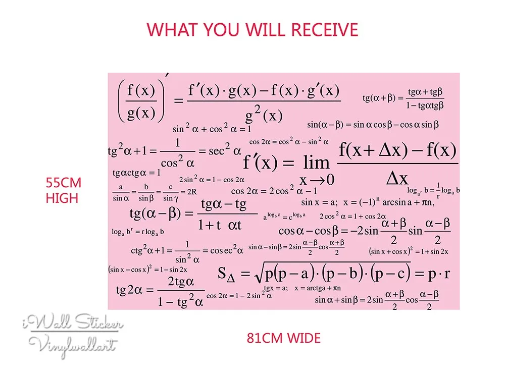 WHAT YOU WILL RECEIVE 1