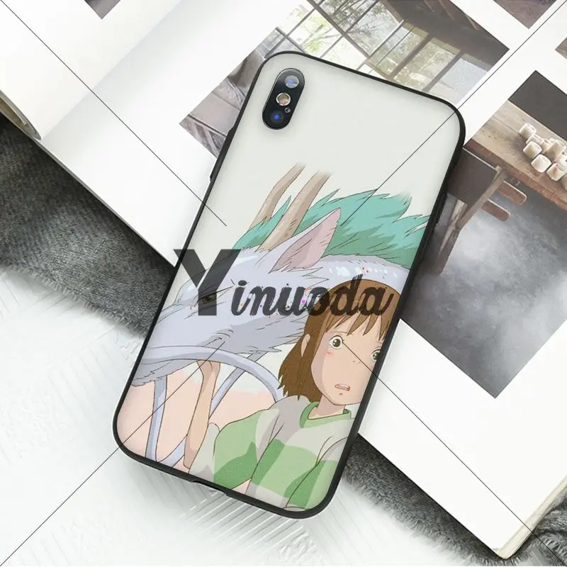 Cartoon Studio Ghibli Spirited Away Totoro