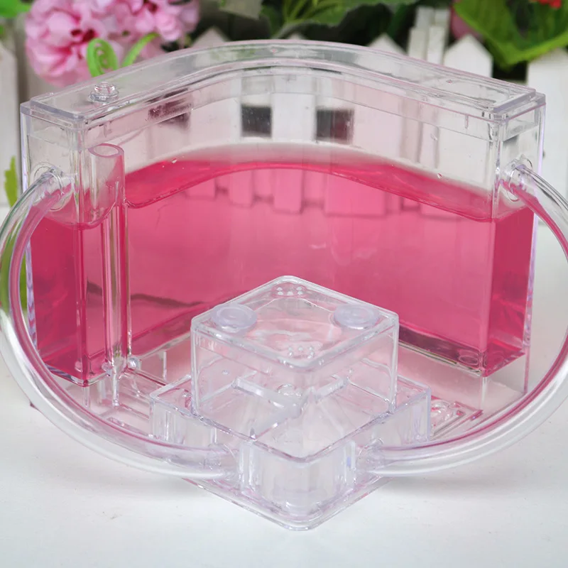 Ant Farm DIY with feeding area ant nest Ant farm acryl Insect ant nests villa pet  for house ants Insect Ecology Box Natural toy (2)
