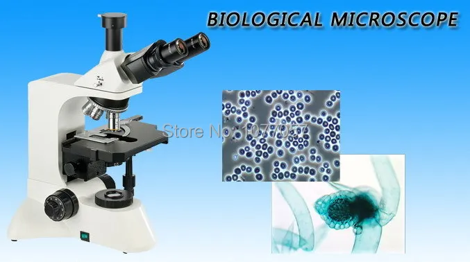 

Hot Sale 40X-1000X Trinocular Biological Microscope,Trinocular Compound Microscope With 3.1M Pixel CMOS Digital Camera BM-L3200