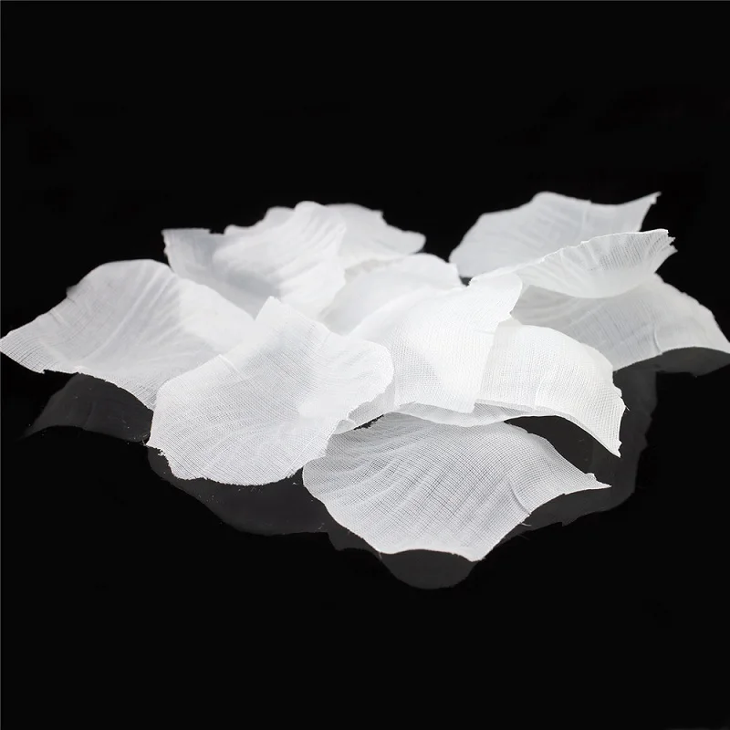 C31-C05white (1)
