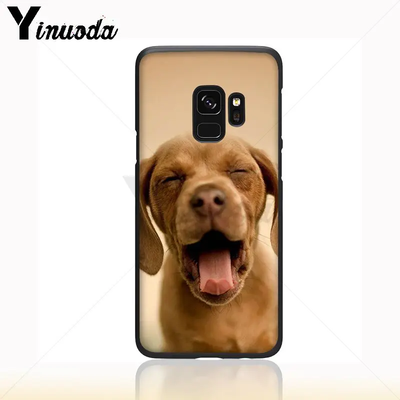 Dachshund Silhouette Dog