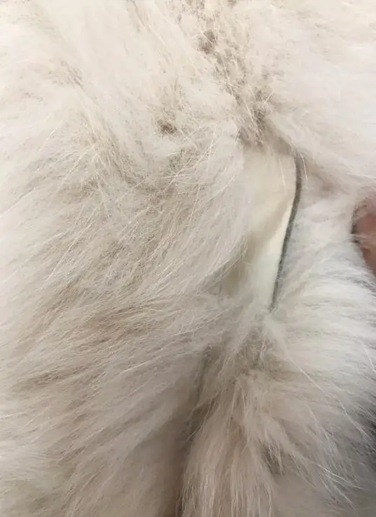 QQ20181016065733