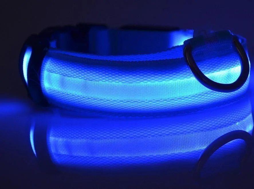 Nylon LED Dog Collar Light Night Safety Glowing Dog Collar Electronic Leash Puppy Kitten Anti-Lost Dog Accessories XWBE