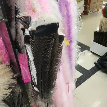 

New!50pcs/Lot Rare Wild pheasant tail feather Turkey Feathers 8-9 inch / 20-22 cm FREE SHIPPING