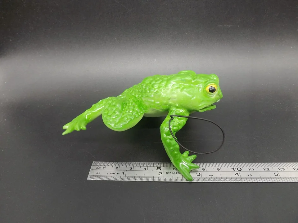 J165-Frog (9)