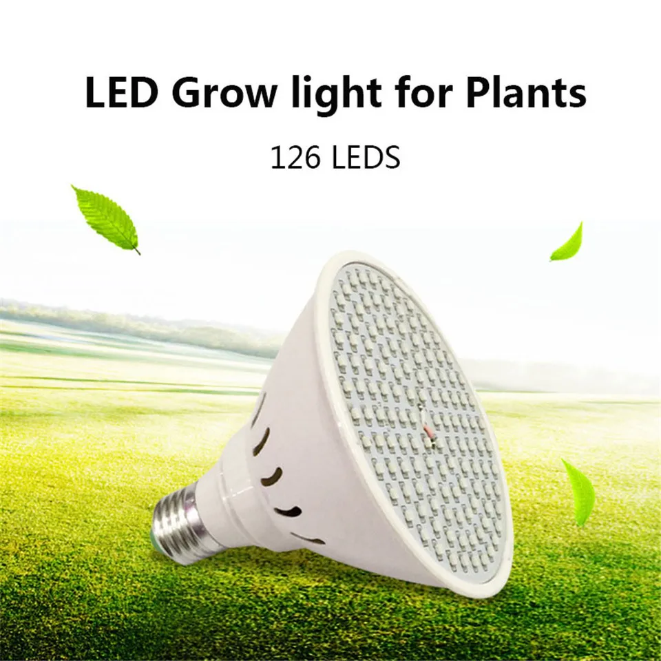 3284909733_1992875395