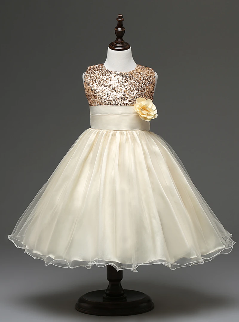 C01  Beige (5)
