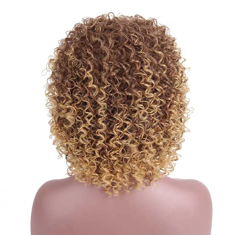 AISI волосы афро кудрявый парик смешанный коричневый и Омбре блонд синтетический парик натуральные черные волосы для женщин термостойкие волосы - Цвет: T27-33