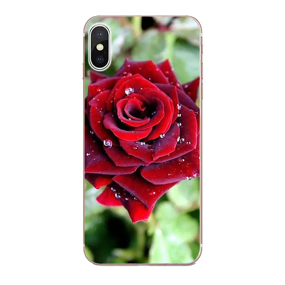 Мягкий ТПУ узор Розовый красивый сад красные розы цветы для Apple iPhone 4 4S 5 5C 5S SE 6 6S 7 8