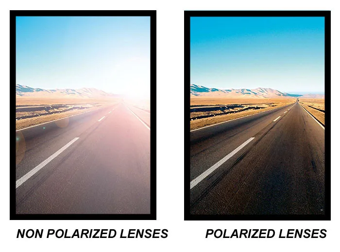 Trade_BrochurePolarization[1]-2