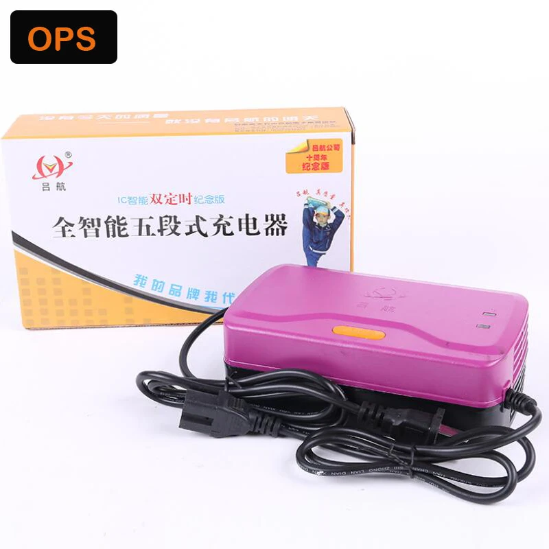 Smart Intelligent Lead Acid Battery Portable Charger 48V 20AH For