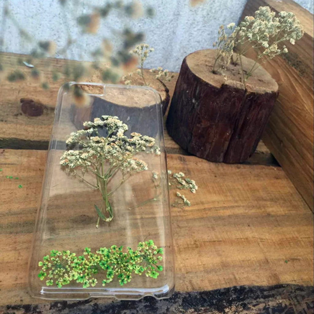 12PCS Natural Pressed Flower for Card Making & Floral Arranging DIY Decor Gypsophila