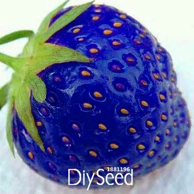 new arrival 50 pcs lot blue rare fruits and vegetables strawberry