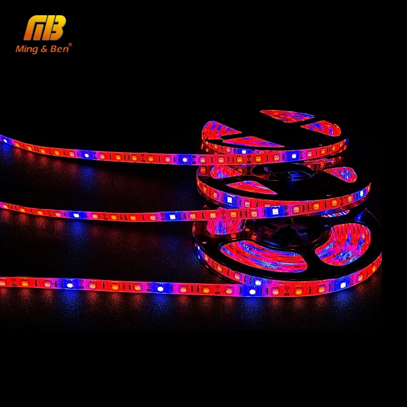 

LED Grow Strip Full Spectrum 12V 3/4/5 Red 1 Blue IP65 Flower Plant Phyto Light For Greenhouse Hydroponic Plant Growing Fitolamp