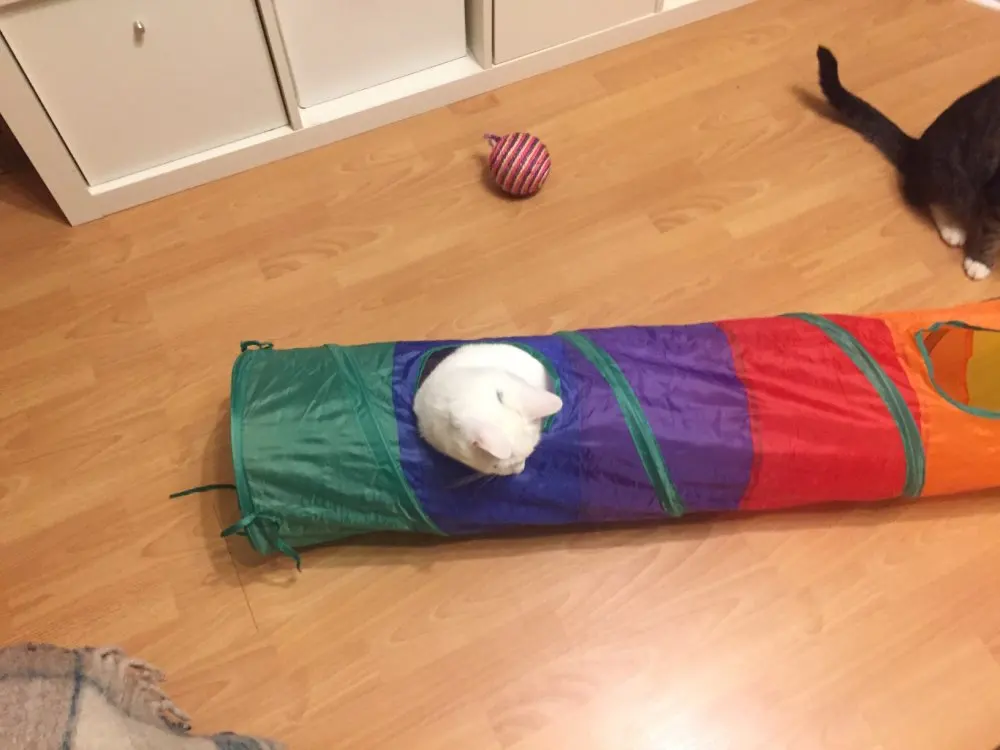 14