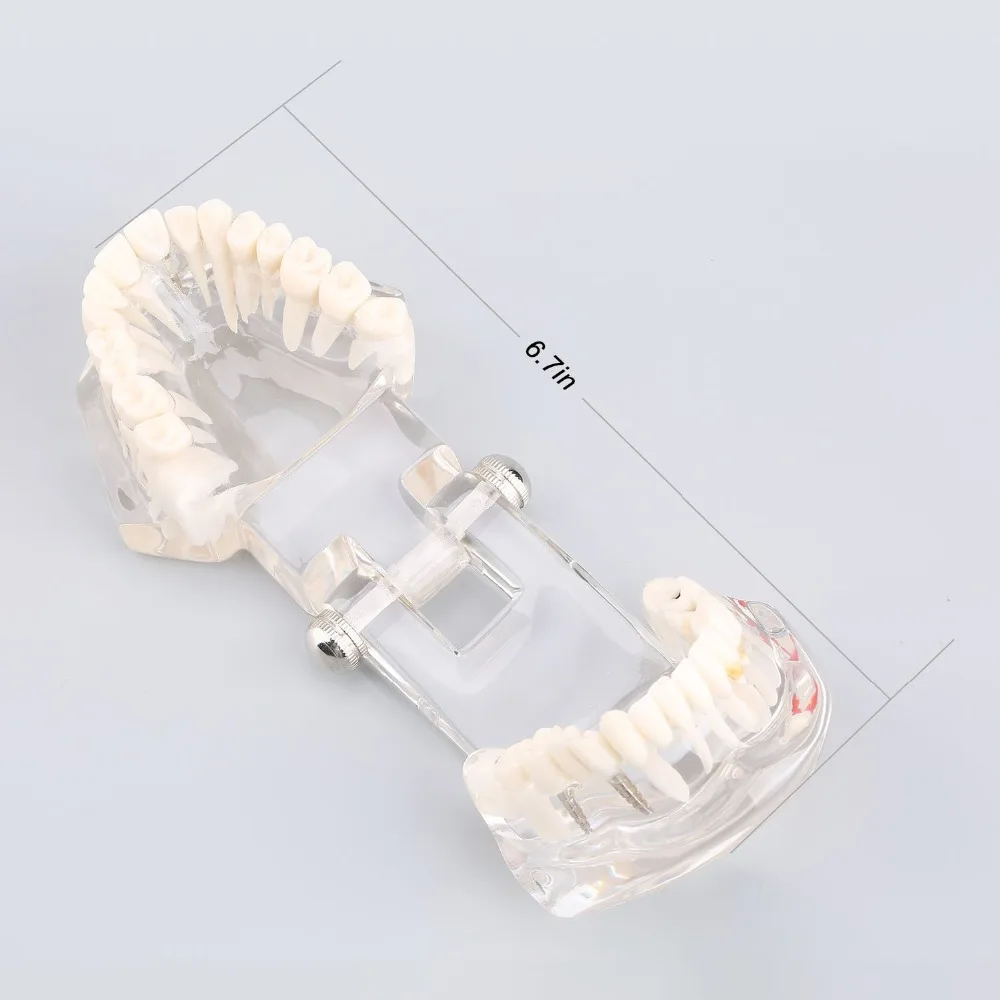61onrv9K18L._SL1500_