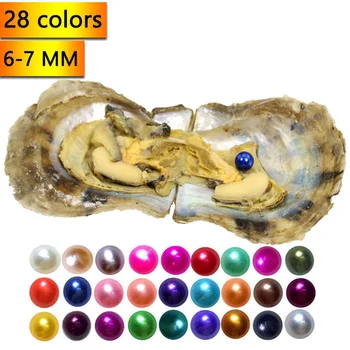 

20 Pcs Saltwater Oyster with 6-7MM Round Pearl, Akoya Single Pearl in Oyster Shell, Mix 28 Colors of Pearls AAAA Grade PB411