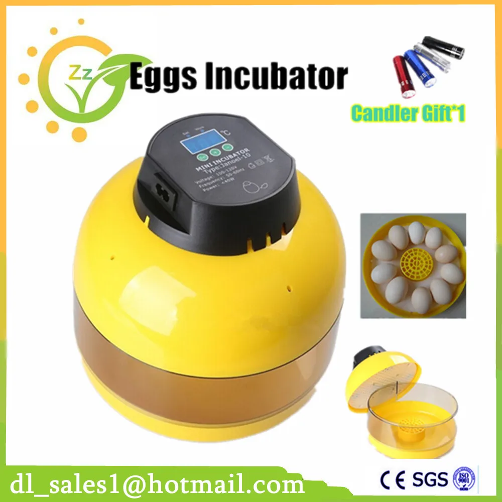 incubator for chicken eggs temperature incubator for chicken eggs temperature