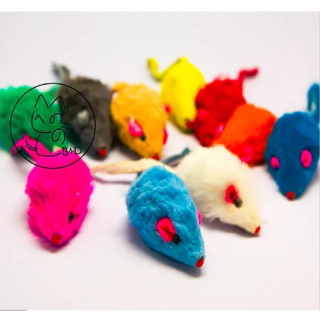 Young and shaved teens