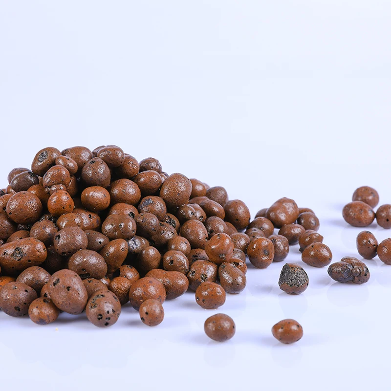 

400g/bag Plant Dedicated succulent Soil Breathable Drainage Anti-Rotten Root soilless cultivation ceramsite for Potted Bonsai