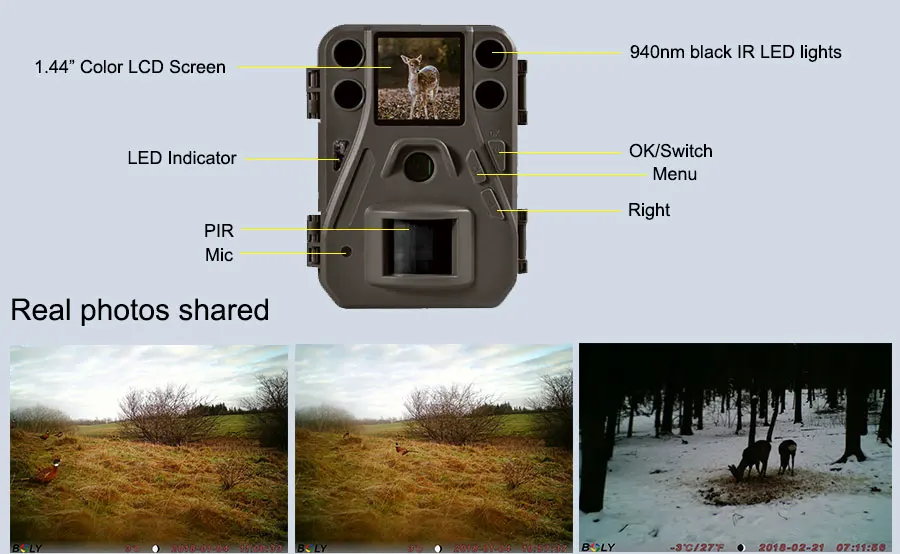 BolyGuard охотничья камера 940nm 14MP Дикая камера ночного видения устройство фото ловушки охотничья цифровая камера тепловизор