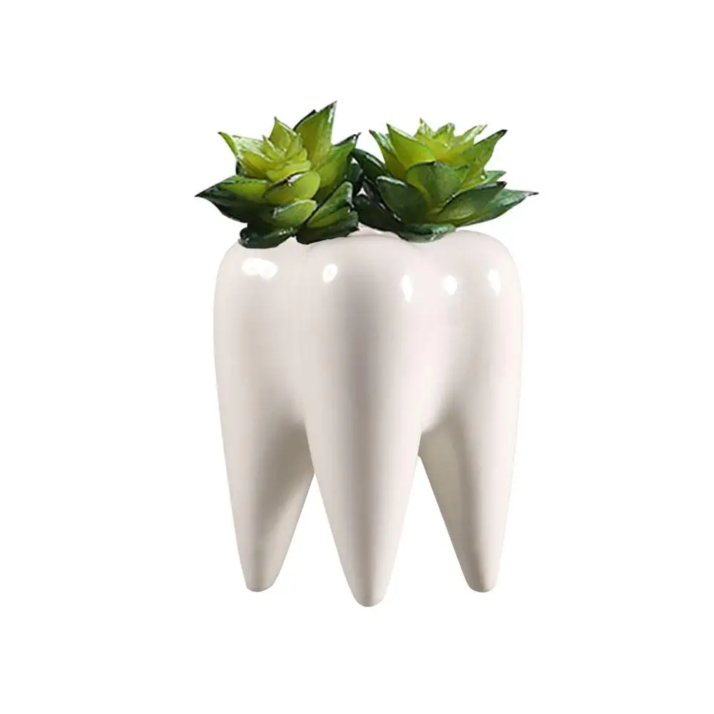 

Ceramic Flowerpot Tooth Desgin Succulent Planter Pot Bonsai Cactus Flower Pot Cute Small Mini Home Garden Office Decor Crafts