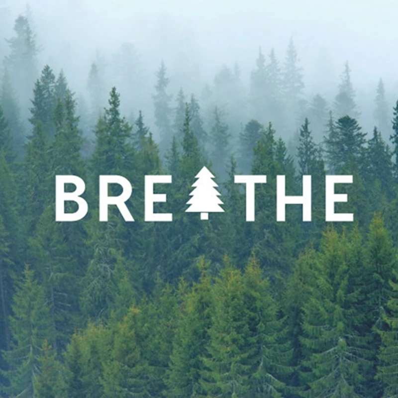 

Free shipping Breathe Tree Vinyl Decal sticker , Just Breathe Quote Decals Vinyl Sticker for Laptop Car Nature Decor