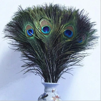 

Samba 100Pcs/lot Natural Peacock Feathers 25-30cm,Wholesale Sale Bulk Cheap Household DIY Wedding Decoration Jewelry Making 10