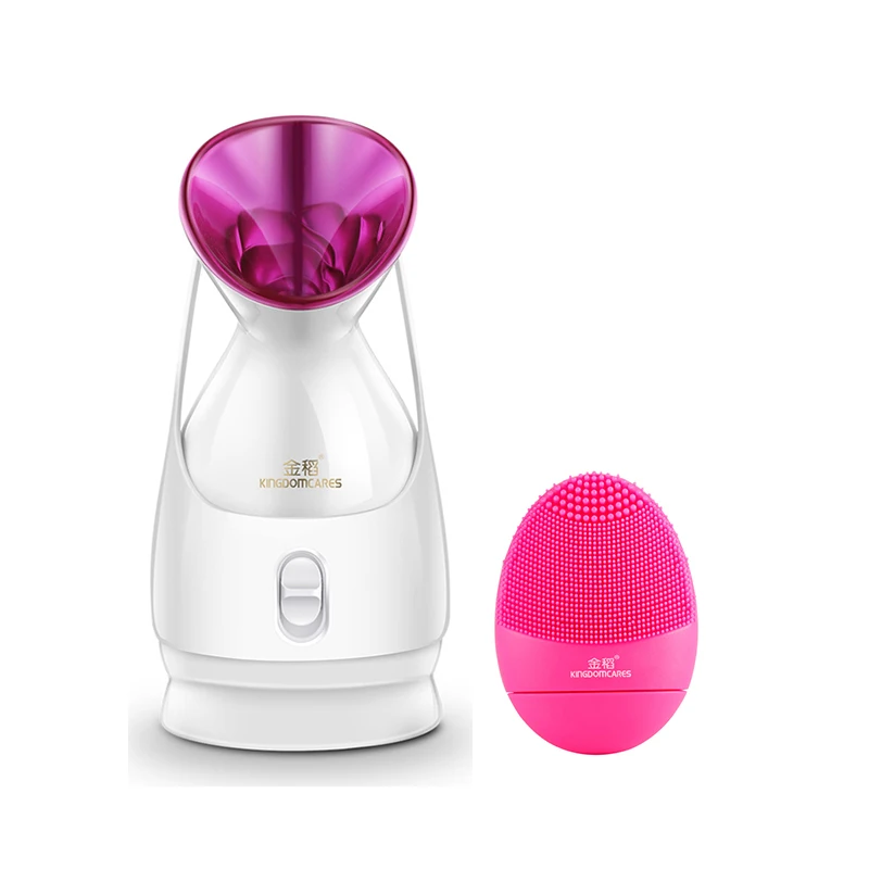 Facial Mist Sprayer Face Warm Steamer + Silicone cleansing Nano