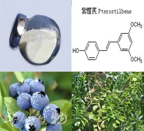 F767C0C8AE5345498507256E2688CE22