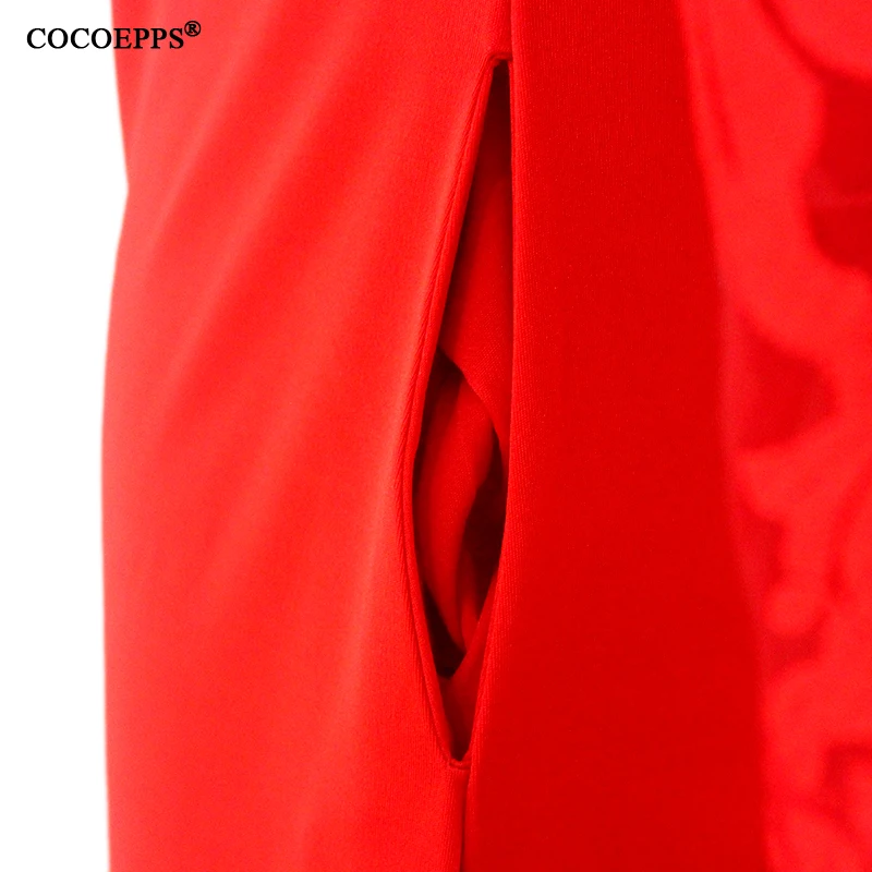COCOEPPSLOGO27