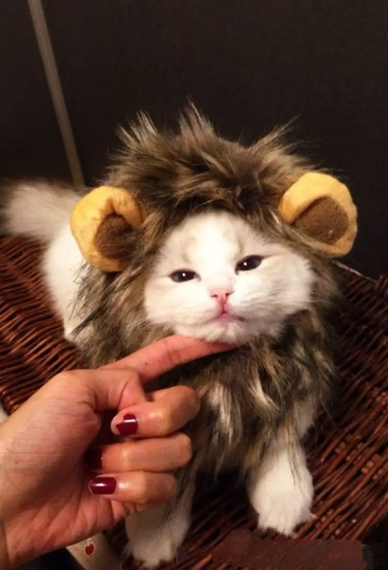 Милые аксессуары для волос для домашних животных кошачий парик льва шляпа для котенка Косплей Одежда для питомца товары для маленьких кошек одежда Kedi Mane парик волосы
