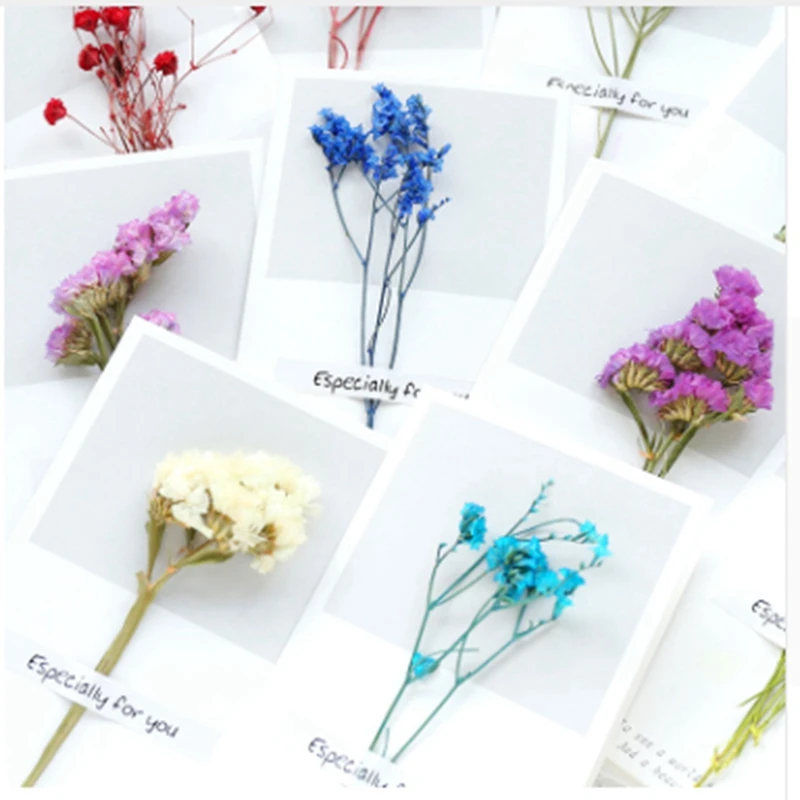  Creative Gypsophila Dried Flowers Folding Type Greeting Cards Christmas Birthday Party Wedding Invi - 4E+12