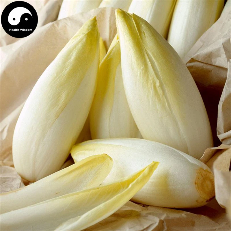 Buy Yellow Chicory Vegetables Semente 600pcs Plant Cichorium Intybus ...