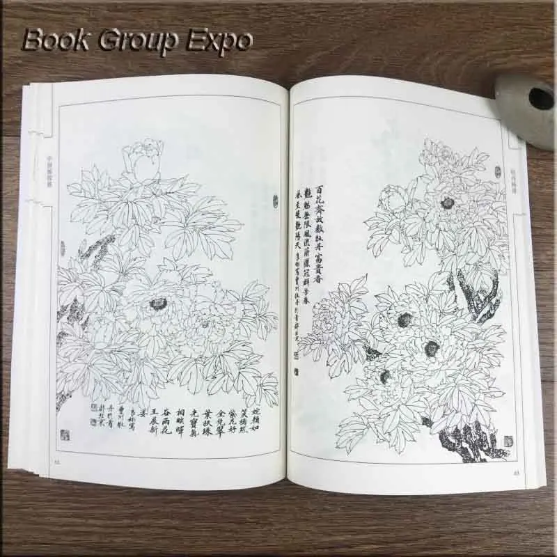 Китайская книга для рисования: Пион Хуа ПУ 94 страниц|chinese book|book bookbook chinese |