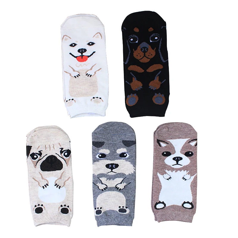 8597661148_1177570479