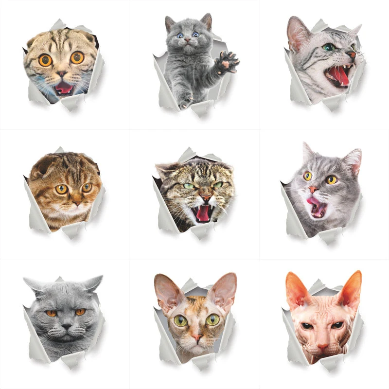 

Cartoon cat Kitten 3d Wall Stickers Home Decorations Toilet Washroom Decals Kitchen Furniture 3d Decor WC Mural Art Posters