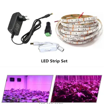 

1m 2m 3m 4m 5m 10m LED Grow Light DC12V 300 LEDs 5050 Chip Growing LED Strip Plant Growth Light Set With Adapter And Switch