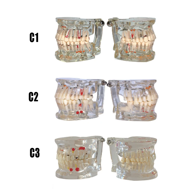 C1-3