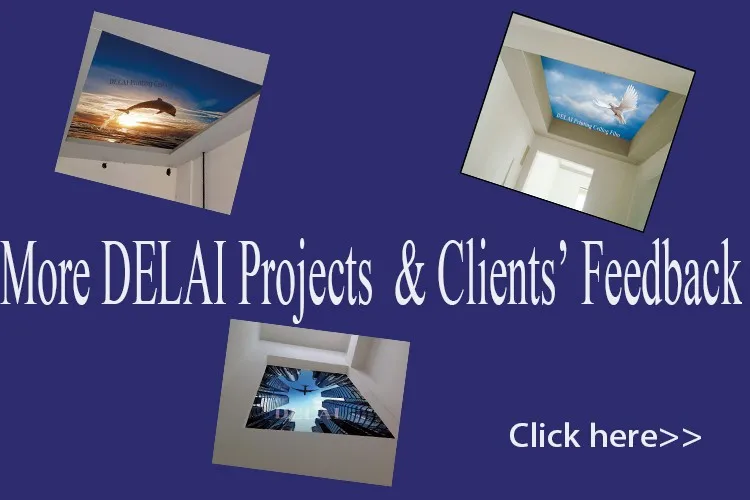 delai project and feedback
