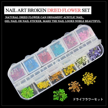 

1set /lot Real Dry Dried Flower for 3D UV Gel Acrylic False Tips Nail Art Salon