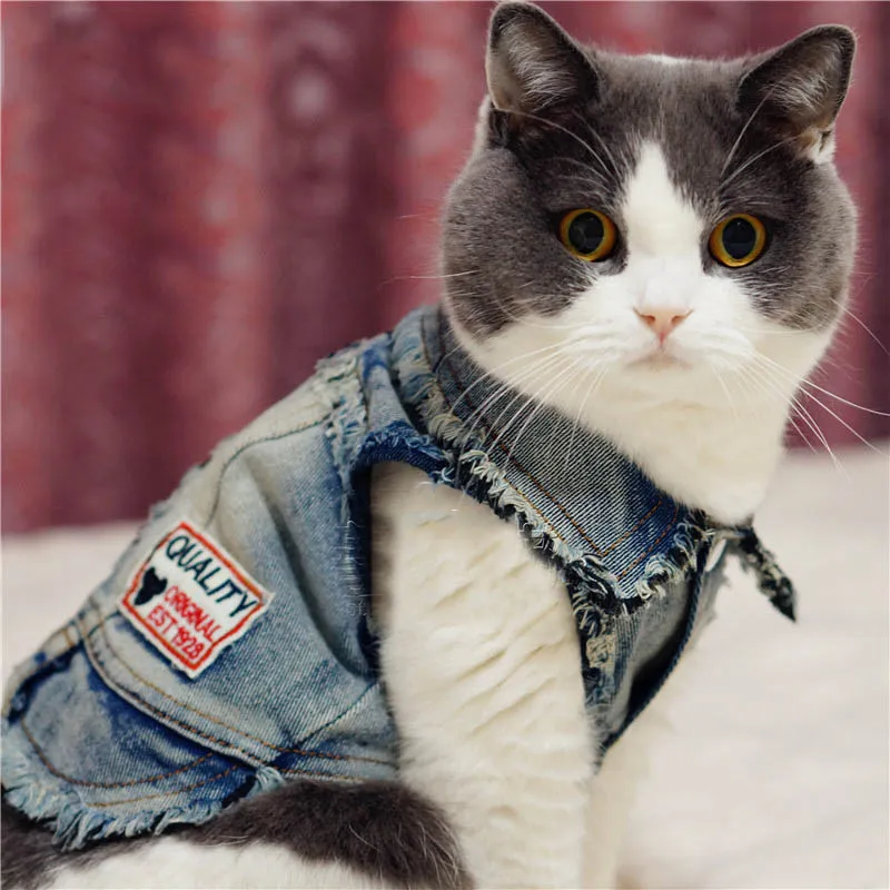 Pet джинсовая одежда для кота одежда Джинсовая верхняя одежда костюм спирнг щенок кошка жилет футболка крутая куртка для маленькие собачки Чихуахуа Pitbull одежда 10A