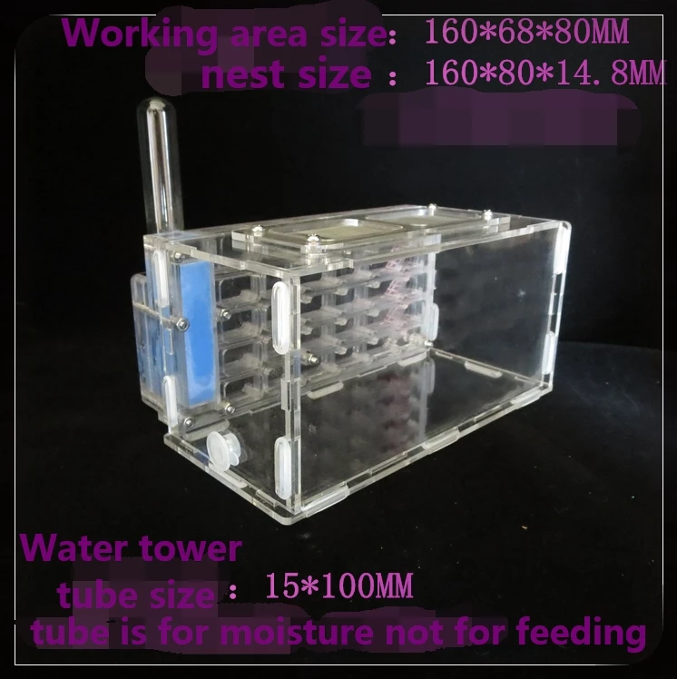T3-Nest (1)