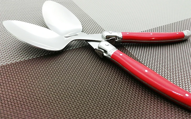 laguiole dinner spoon set (7)