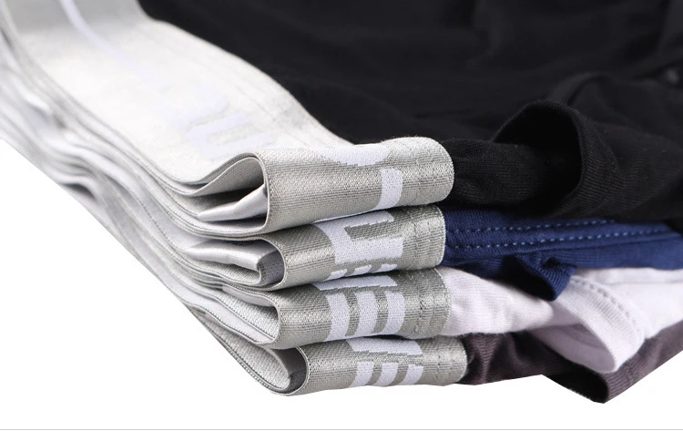 3954096066_1692867452