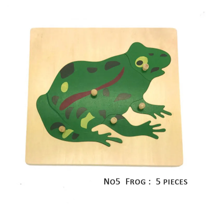 05 Frog
