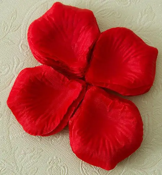 cheap real flower petals for wedding
