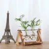 Vintage Fleur Vases Creative Usine Hydroponique Transparent Vase En Bois Cadre Café Salle de Table En Verre Plantes Accueil Bonsaï Décor ► Photo 2/5