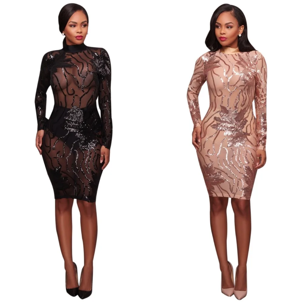 Embroidery Floral Sequined Long Sleeve Knee Length Dress Women Sexy